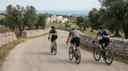 Cover image for: Cycling in Puglia: Best Routes for Every Level