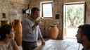 Cover image for: Olive Oil Tasting in Puglia: Where to Go & What to Expect