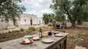 Cover image for: Puglia Farm-to-Table Experiences: Local's Guide