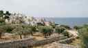 Cover image for: Peak Weeks vs Shoulder Season in Puglia's Rental Calendar